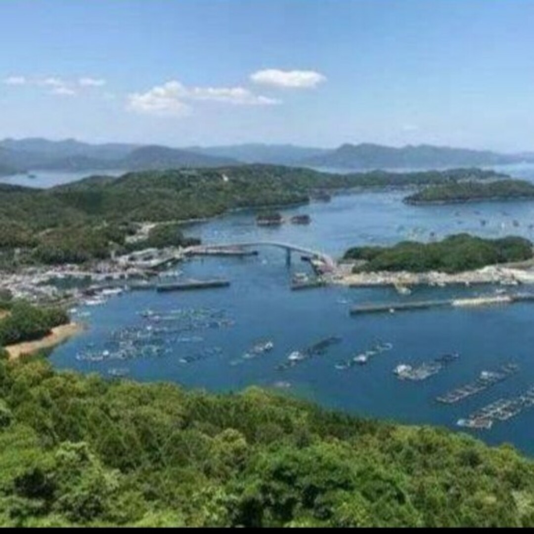 鹿児島県長島町産 あおさ あおさのり 乾燥あおさ 食品/飲料/酒の加工食品(乾物)の商品写真