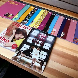 カドカワショテン(角川書店)のaiko  雑誌　別冊カドカワ　LLP19 パンフレット　ファンクラブ会報(ミュージシャン)