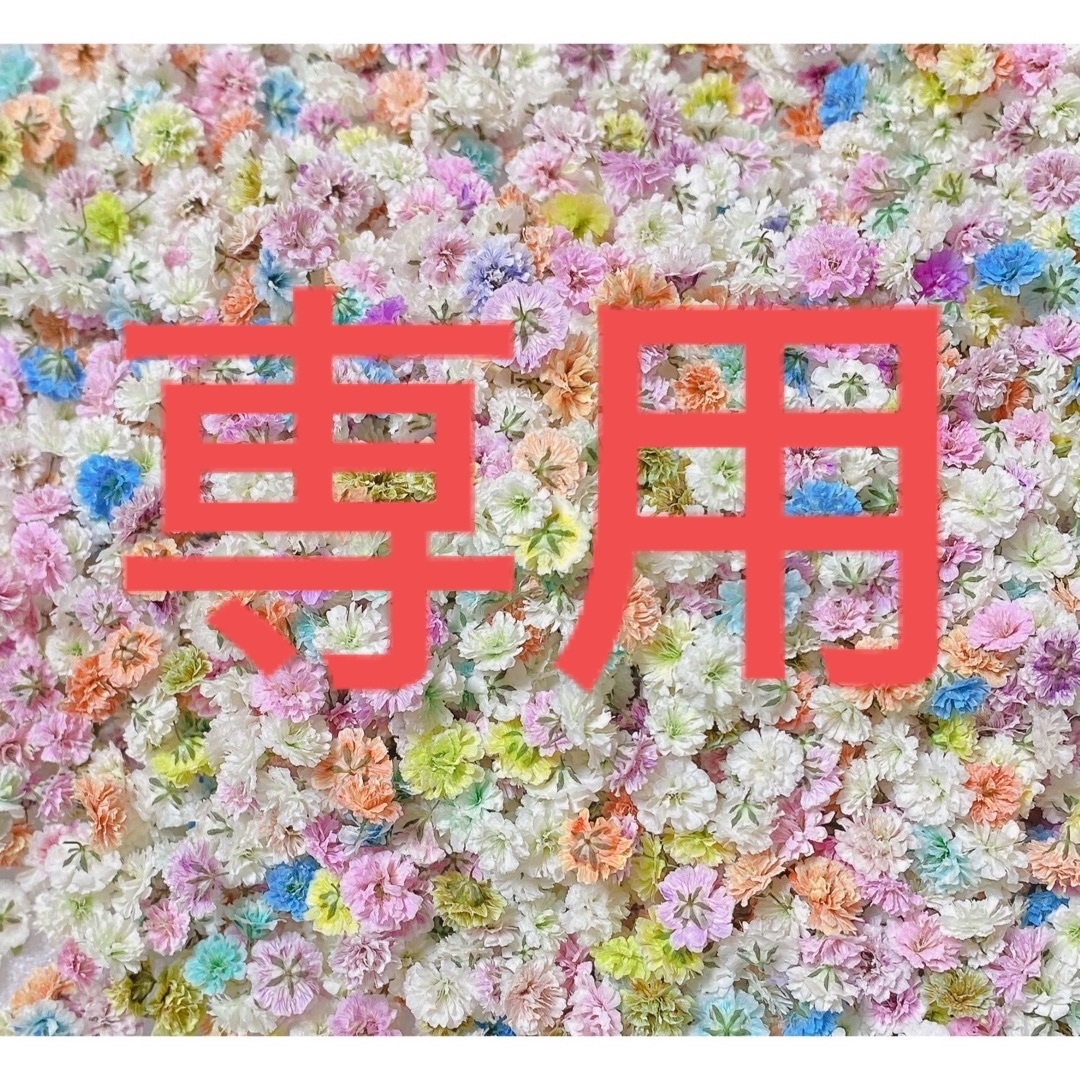 ドライフラワー 花材 かすみ草 パステルミックス 大きめ 70粒以上 ハンドメイドのフラワー/ガーデン(ドライフラワー)の商品写真