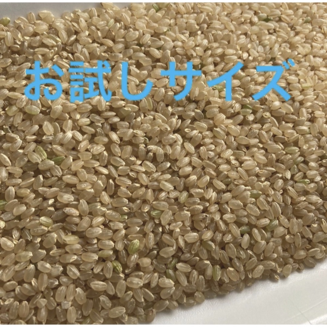コシヒカリ　無農薬　玄米 食品/飲料/酒の食品(米/穀物)の商品写真