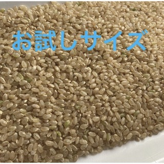 コシヒカリ　無農薬　玄米(米/穀物)