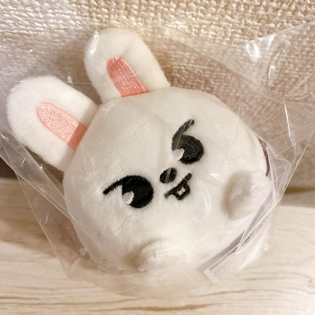 Stray Kids スキズ SKZOO バッグチャーム ツムツム - タレントグッズ Stray Kids スキズ SKZOO バッグチャーム ツムツム - タレントグッズ
