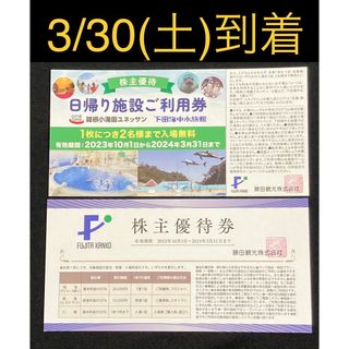 【即日発送】箱根小涌園ユネッサン 1枚＆優待券1枚　翌日到着　下田海中水族館(プール)