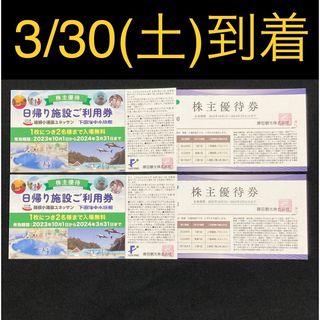 【即日発送】箱根小涌園ユネッサン 2枚＆優待券2枚　翌日到着　下田海中水族館(遊園地/テーマパーク)