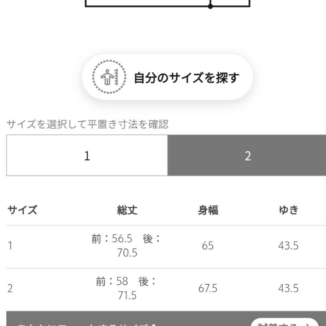 BLAMINK(ブラミンク)のブラミンク　半袖　トレーナー レディースのトップス(トレーナー/スウェット)の商品写真