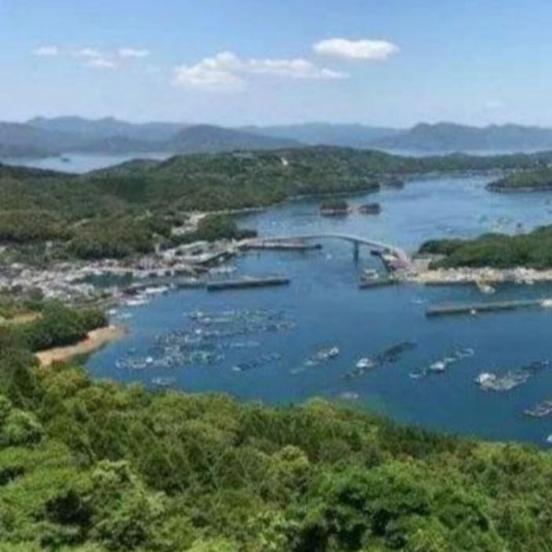 鹿児島県長島町産 あおさ あおさのり  乾燥あおさ 食品/飲料/酒の加工食品(乾物)の商品写真