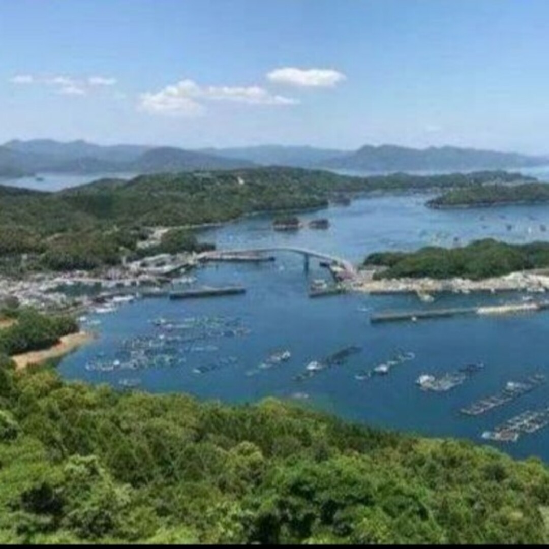 鹿児島県長島町産 あおさ あおさのり  乾燥あおさ 食品/飲料/酒の加工食品(乾物)の商品写真