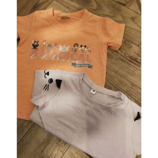 Tシャツ(Ｔシャツ)