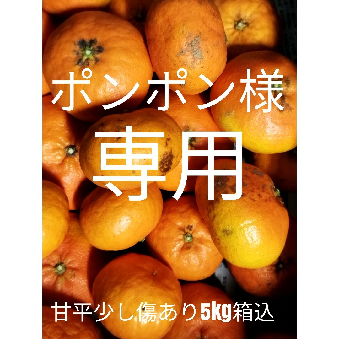 ポンポン様専用 食品/飲料/酒の食品(フルーツ)の商品写真