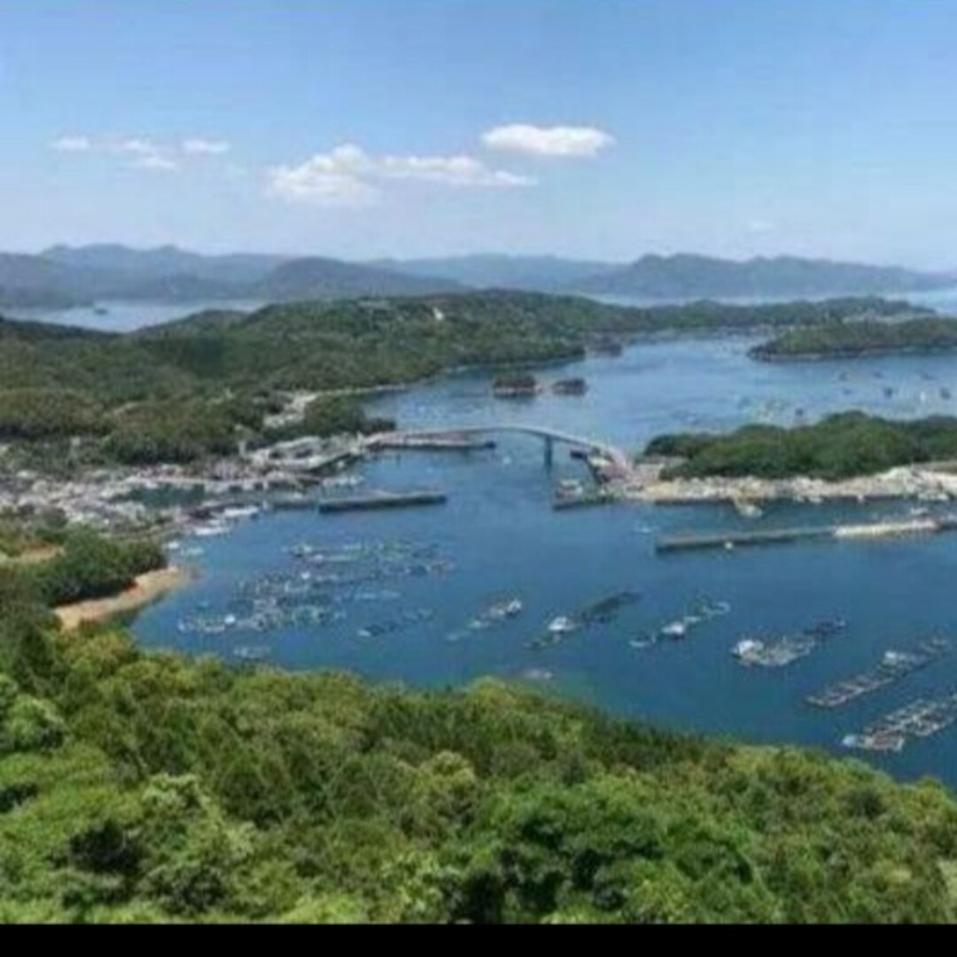 鹿児島県長島町産 あおさ あおさのり  乾燥あおさ 食品/飲料/酒の加工食品(乾物)の商品写真