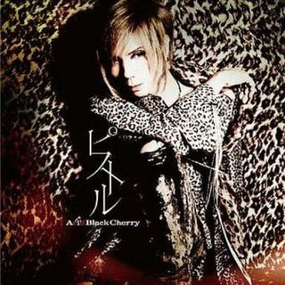 【中古】ピストル  /  Acid Black Cherry（帯無し）(その他)