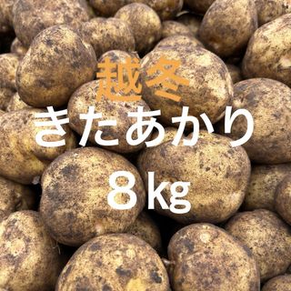 北海道産　越冬キタアカリ8kg (野菜)