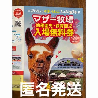 マザー牧場 割引券 無料クーポン 幼稚園 保育園(遊園地/テーマパーク)