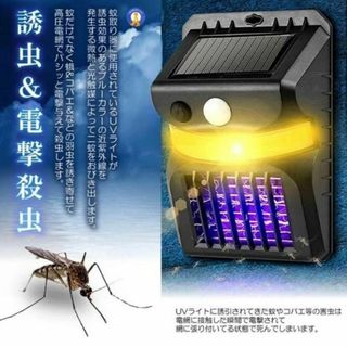 LED一体型ダウンライト 一般形 白色反射板 埋込穴φ150 昼白色 本体のみ