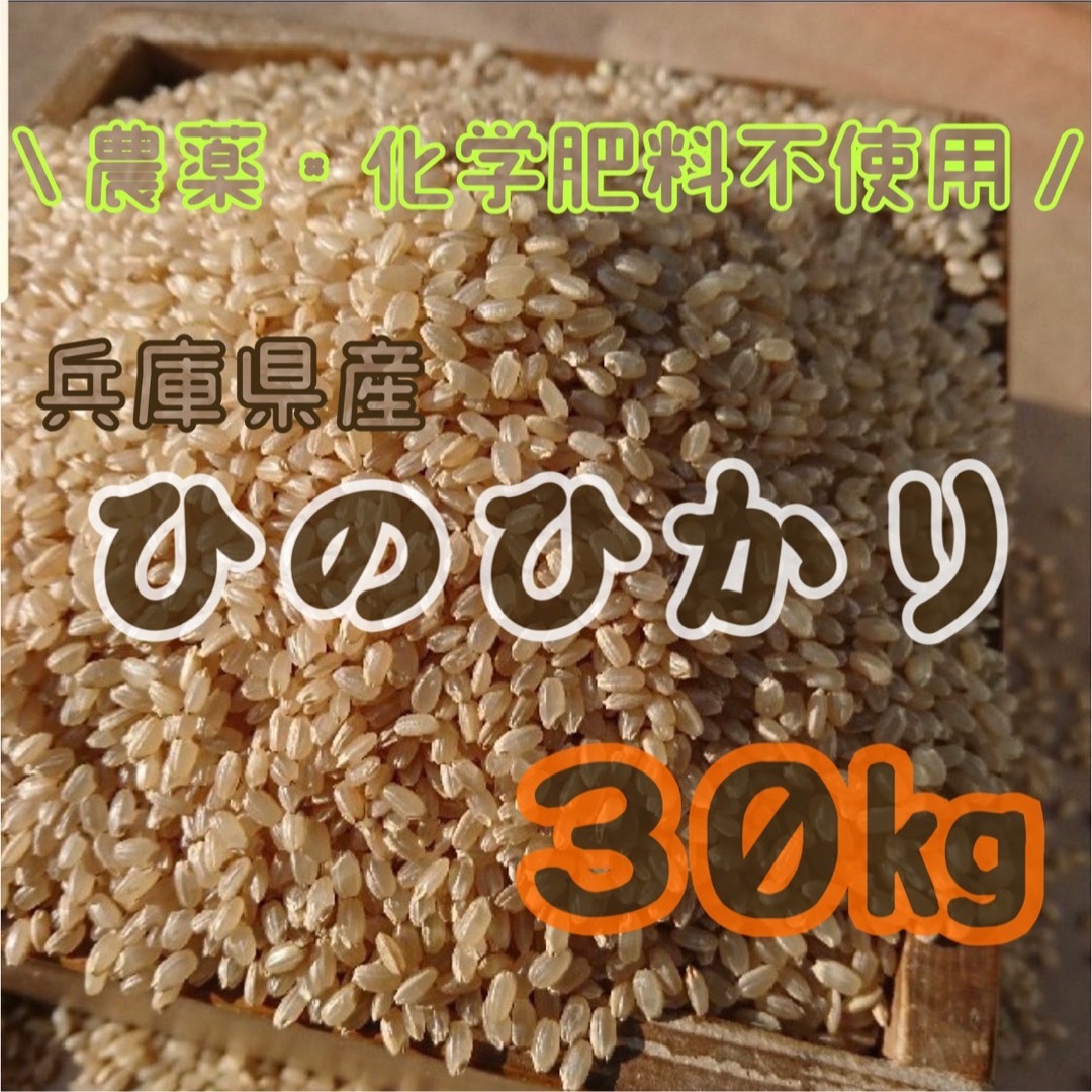 特別価格！　令和５年度収穫　兵庫県産　ひのひかり　玄米　３０ｋｇ　農家直送 食品/飲料/酒の食品(米/穀物)の商品写真