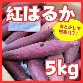 さつまいも紅はるか５kg(野菜)