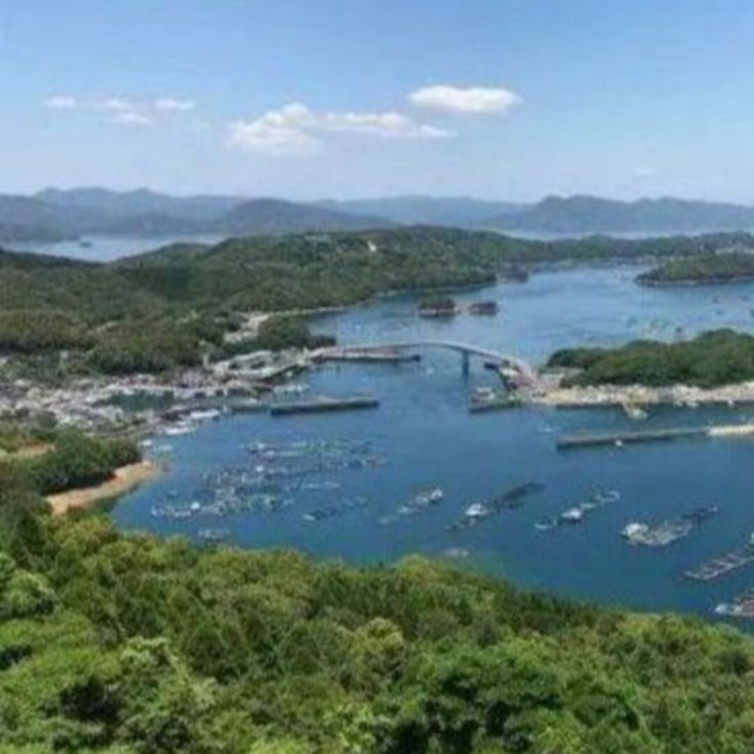 鹿児島県長島町産 あおさ あおさのり 乾燥あおさ 食品/飲料/酒の加工食品(乾物)の商品写真