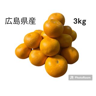 【今が旬】広島県産はっさく　3kg 小玉　訳ありだが美味(フルーツ)