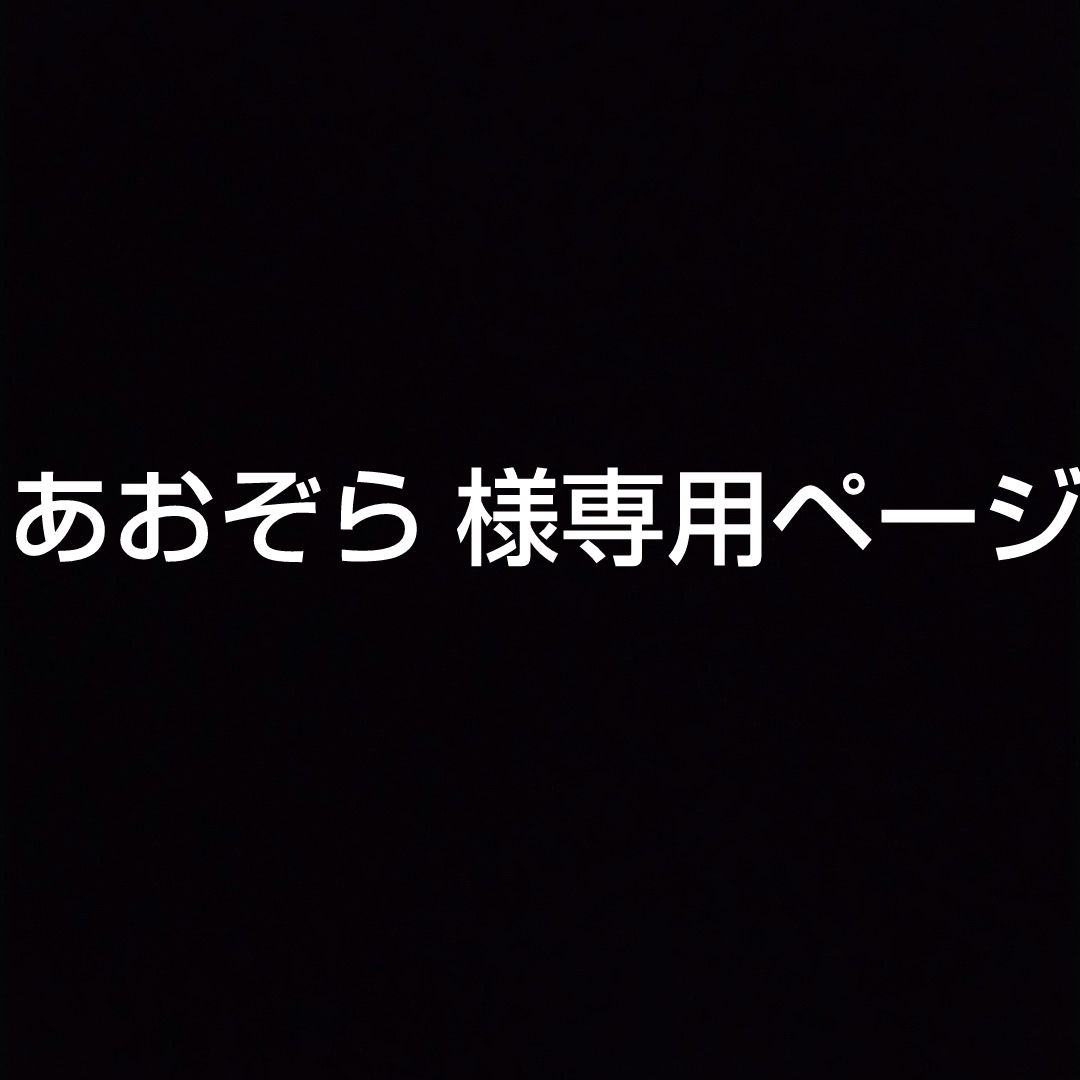 専用ページ エンタメ/ホビーのアニメグッズ(クリアファイル)の商品写真