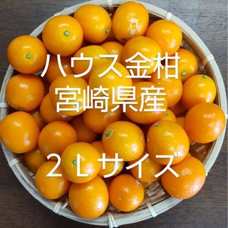 ハウス金柑　２Ｌサイズ　宮崎県産　きんかん　1kg入　宅急便コンパクト(フルーツ)