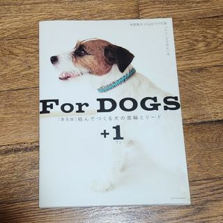 結んでつくる犬の首輪とリード＋１(趣味/スポーツ/実用)