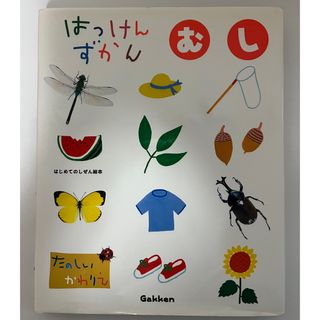 ガッケン(学研)のはっけんずかん　むし(絵本/児童書)