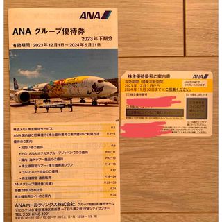 ANA(全日本空輸) - ANA株主優待1枚