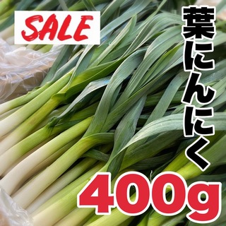 【農家直送】高知県特産‼️葉ニンニク 400g 即購入OK g7522(野菜)