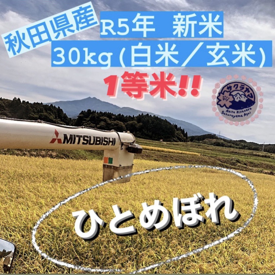 ★令和5年 ‪新米  ひとめぼれ 30kg  一等米級 秋田県産 産地直送★  食品/飲料/酒の食品(米/穀物)の商品写真