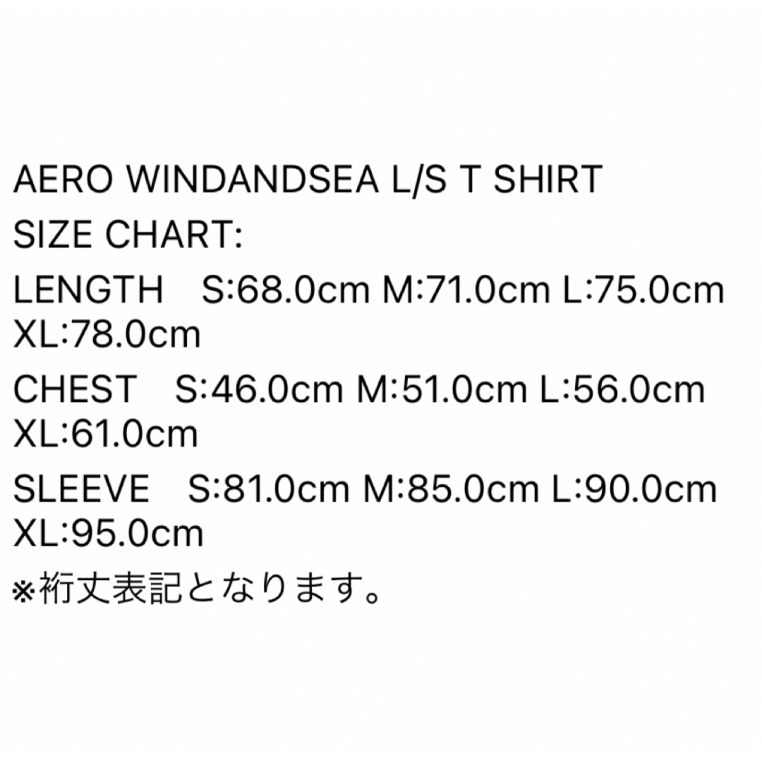 WIND AND SEA(ウィンダンシー)のBAND TEE Aero Windandsea L/S T Shirt  メンズのトップス(Tシャツ/カットソー(七分/長袖))の商品写真