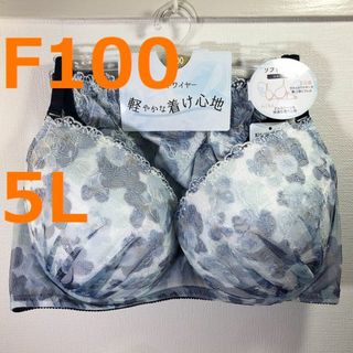 【F100/5L】ブラ・ショーツセット★2点以上で各200円引★032602 1(ブラ&ショーツセット)