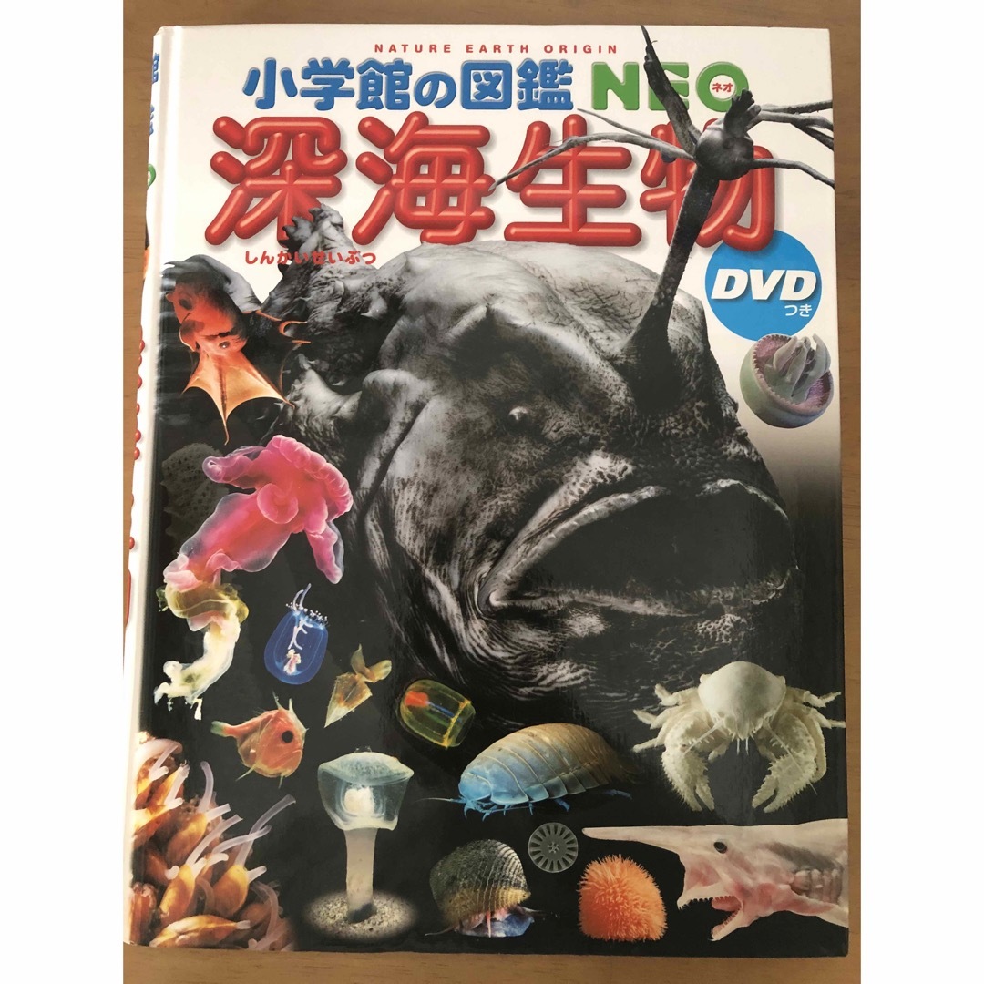 小学館(ショウガクカン)の小学館の図鑑　NEO 深海生物　DVD付き エンタメ/ホビーの本(絵本/児童書)の商品写真