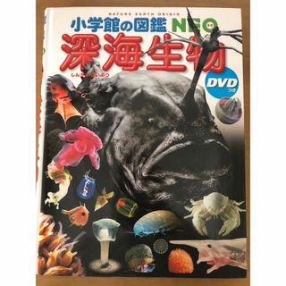 ショウガクカン(小学館)の小学館の図鑑　NEO 深海生物　DVD付き(絵本/児童書)