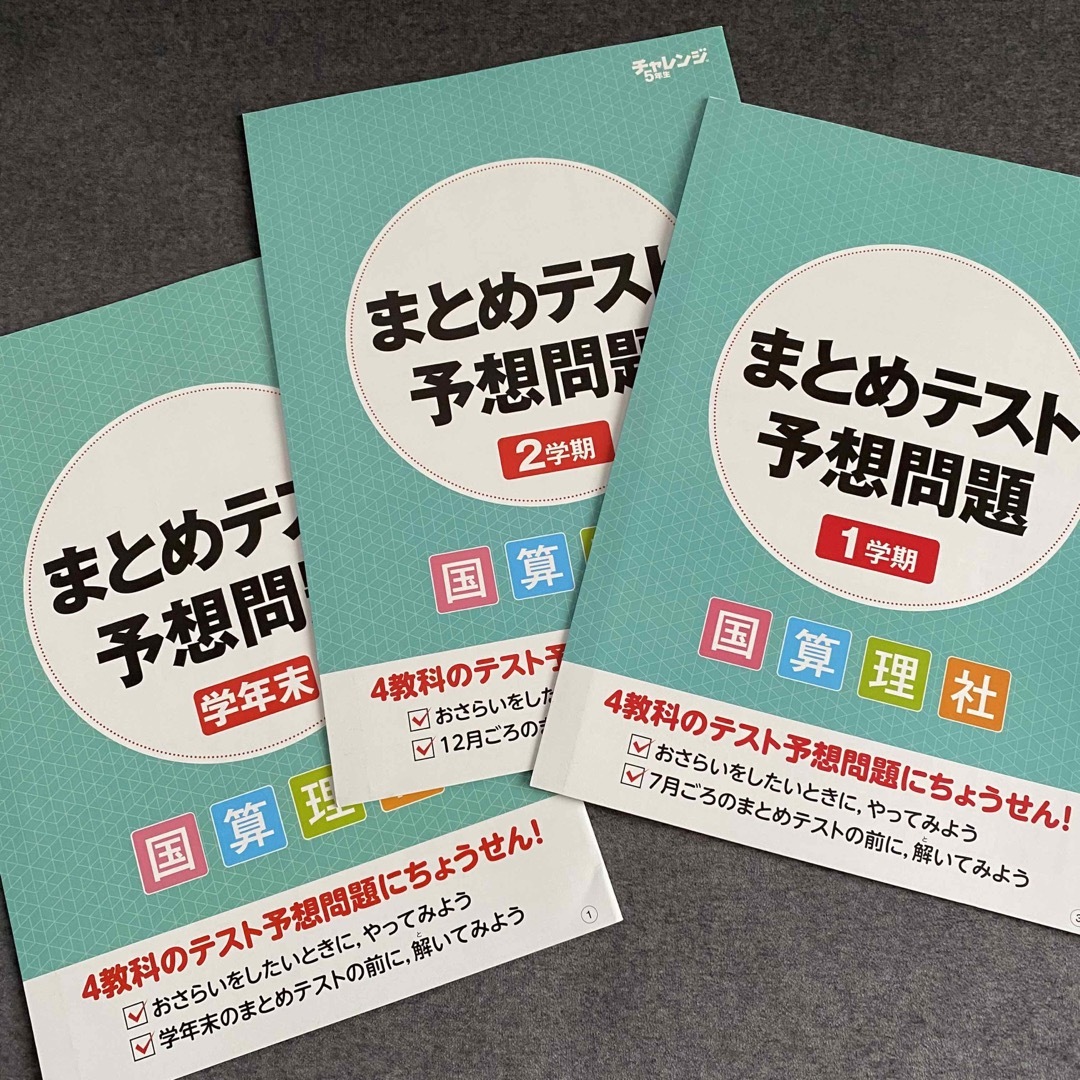 Benesse(ベネッセ)の進研ゼミ 小学講座 チャレンジ5年生 問題集　 エンタメ/ホビーの本(語学/参考書)の商品写真