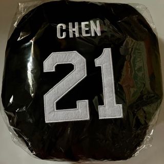 エクソ(EXO)のEXO CHEN ロゴBIGクッション エクソ チェン やわらかいクッション(アイドルグッズ)