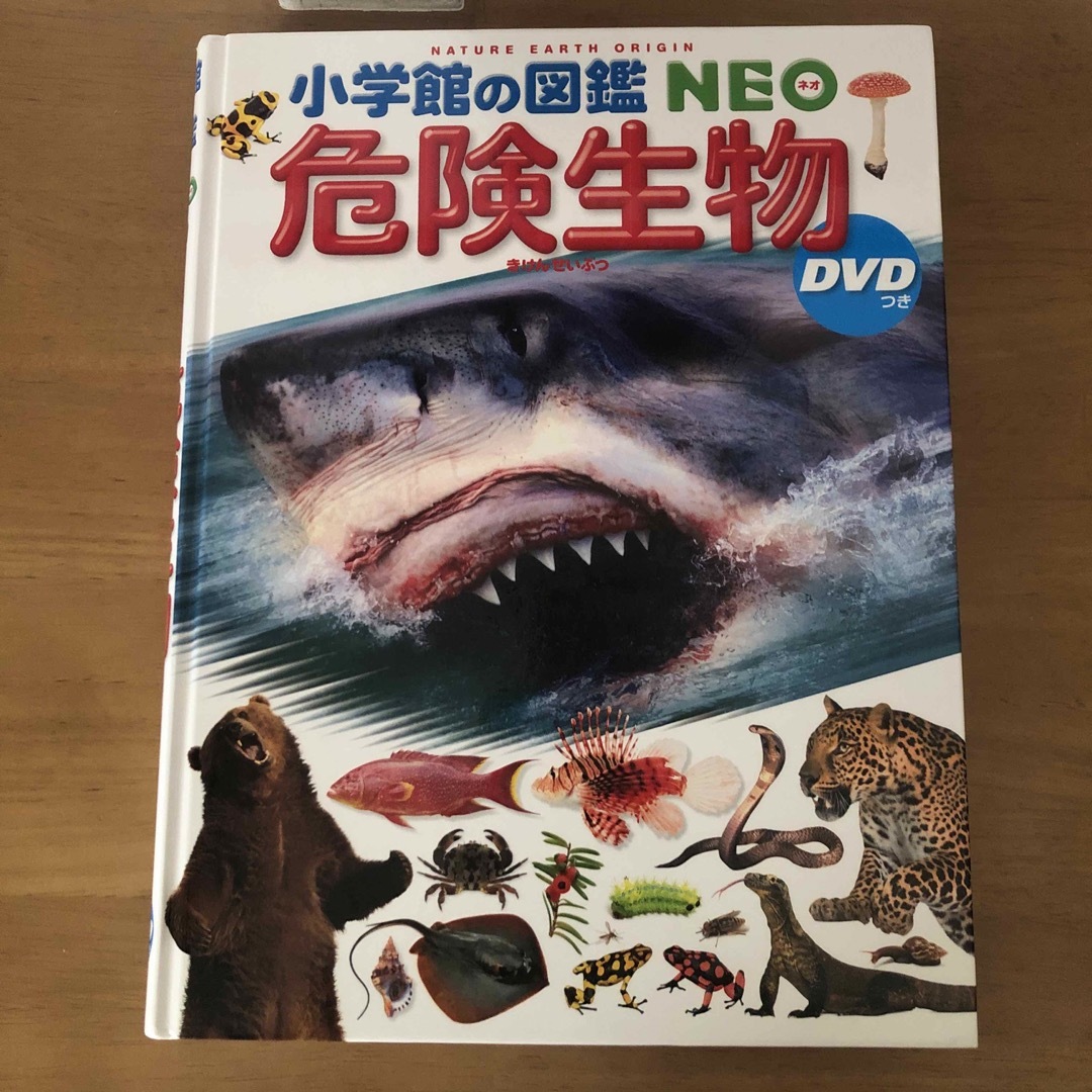 小学館(ショウガクカン)の小学館の図鑑　NEO 危険生物　DVD付き エンタメ/ホビーの本(絵本/児童書)の商品写真