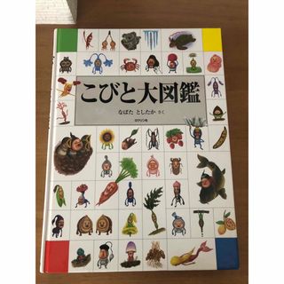 こびと図鑑　本　カバー無し　(絵本/児童書)