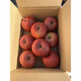 りんご  サンフジ  正規品  8玉(フルーツ)