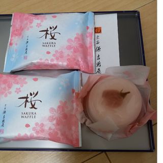 ソウケミナモトキッチョウアン(宗家 源吉兆庵)の源吉兆庵 桜和菓子3点(菓子/デザート)