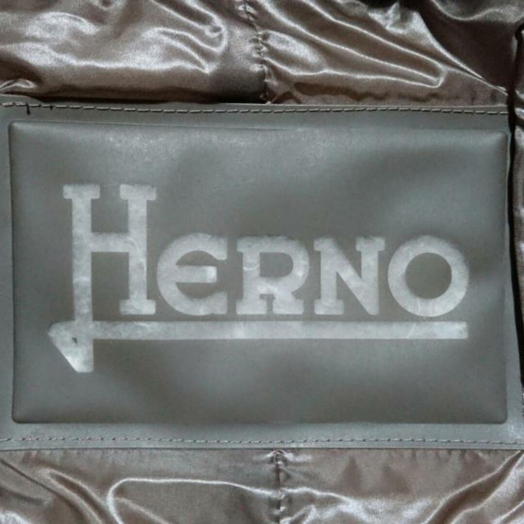 HERNO(ヘルノ)のHERNO(ヘルノ) ダウンコート サイズ40 M レディース - グレーベージュ 七分袖/冬 レディースのジャケット/アウター(ダウンコート)の商品写真