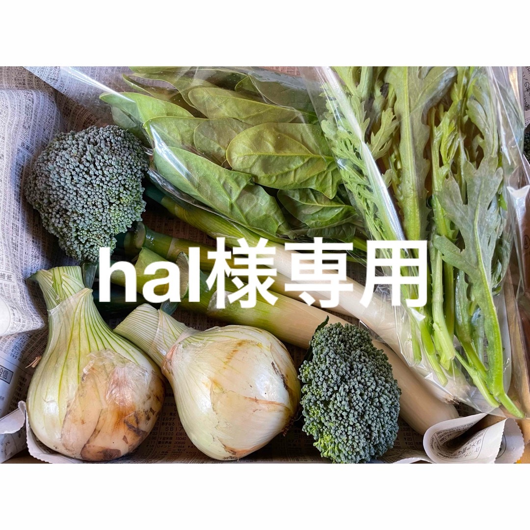 hal様専用 食品/飲料/酒の食品(野菜)の商品写真