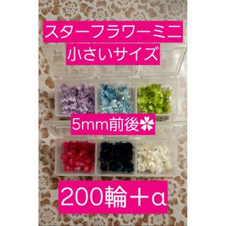 スターフラワーミニ マルセラ 小さいサイズ 5mm前後 200輪＋α(プリザーブドフラワー)