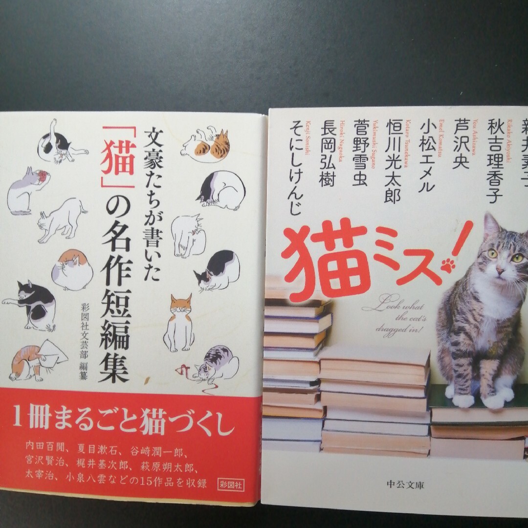 文豪たちが書いた「猫」の名作短編集、猫ミス！　の２冊セット エンタメ/ホビーの本(その他)の商品写真