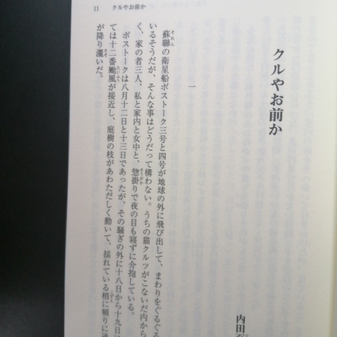 文豪たちが書いた「猫」の名作短編集、猫ミス！　の２冊セット エンタメ/ホビーの本(その他)の商品写真