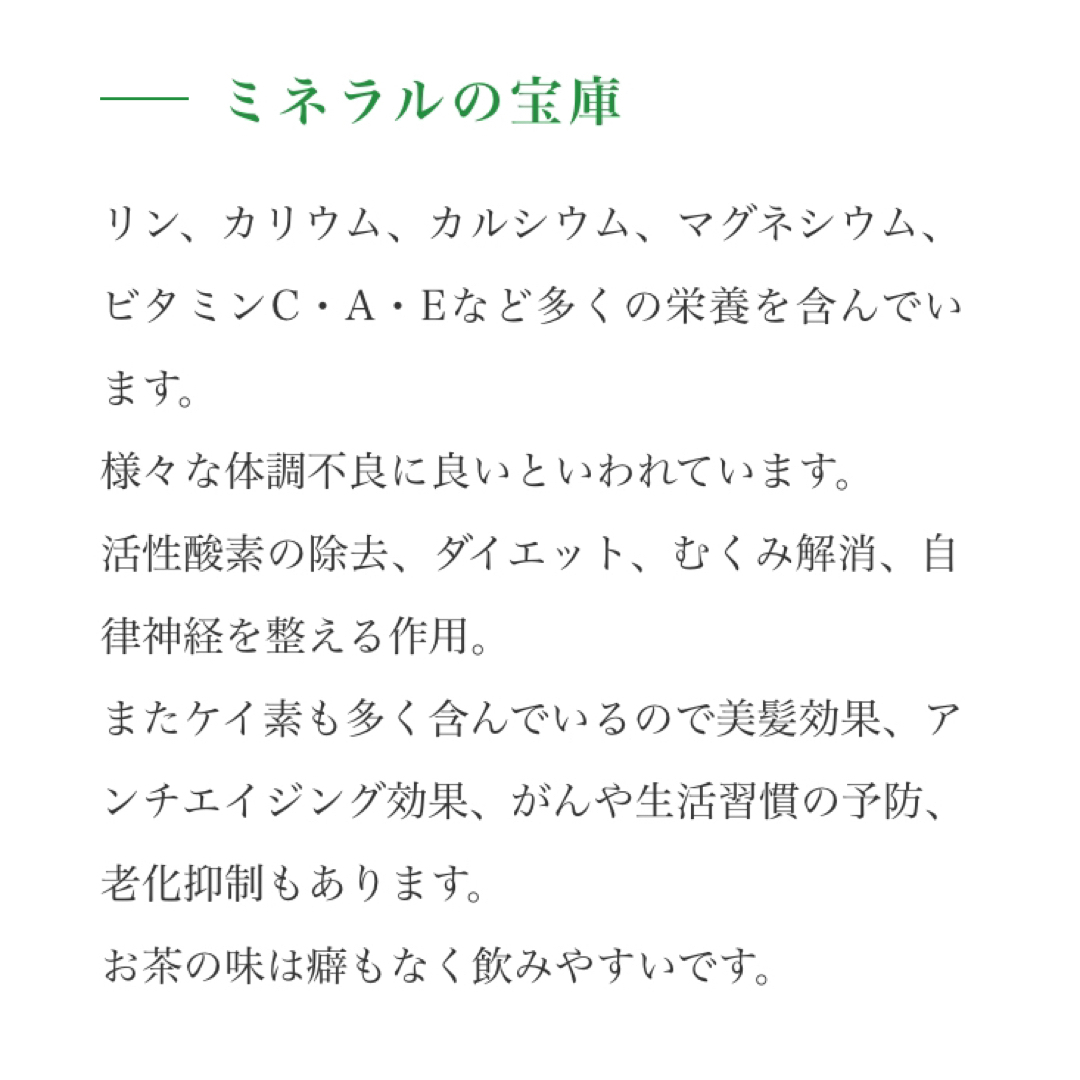 【スギナ茶】3g×30P 国産 ティーバッグ 野草茶 健康茶 お茶 美髪 美肌 食品/飲料/酒の健康食品(健康茶)の商品写真