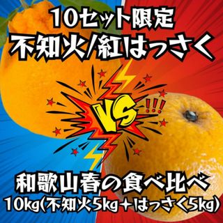 不知火 はっさく 春の味覚食べ比べセット 訳あり10㎏ 減農薬 デコポン 八朔(フルーツ)