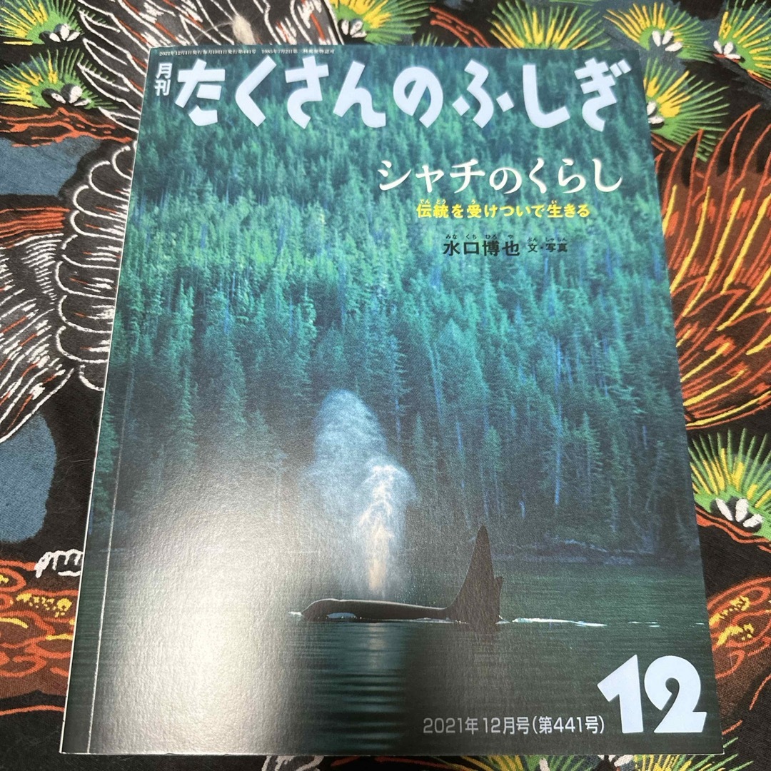 福音館書店(フクインカンショテン)の月刊 たくさんのふしぎ 2021年 12月号 [雑誌] エンタメ/ホビーの雑誌(絵本/児童書)の商品写真