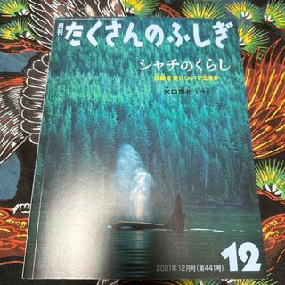 フクインカンショテン(福音館書店)の月刊 たくさんのふしぎ 2021年 12月号 [雑誌](絵本/児童書)