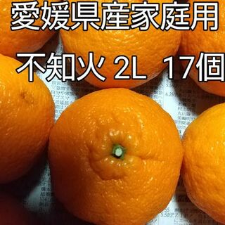 愛媛県産不知火家庭用　２L　17個(フルーツ)