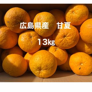 広島県産　甘夏みかん　箱込約13㎏　甘夏(フルーツ)